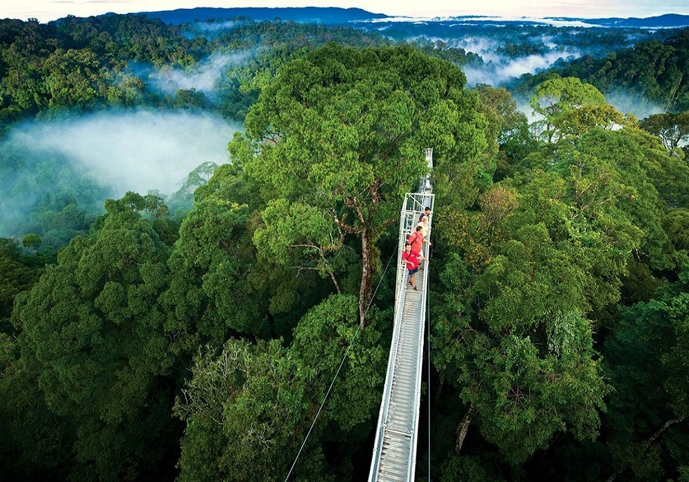 Monteverde y puentes colgantes